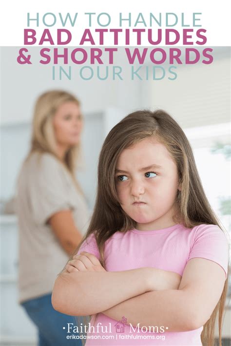 words for bad attitude.
